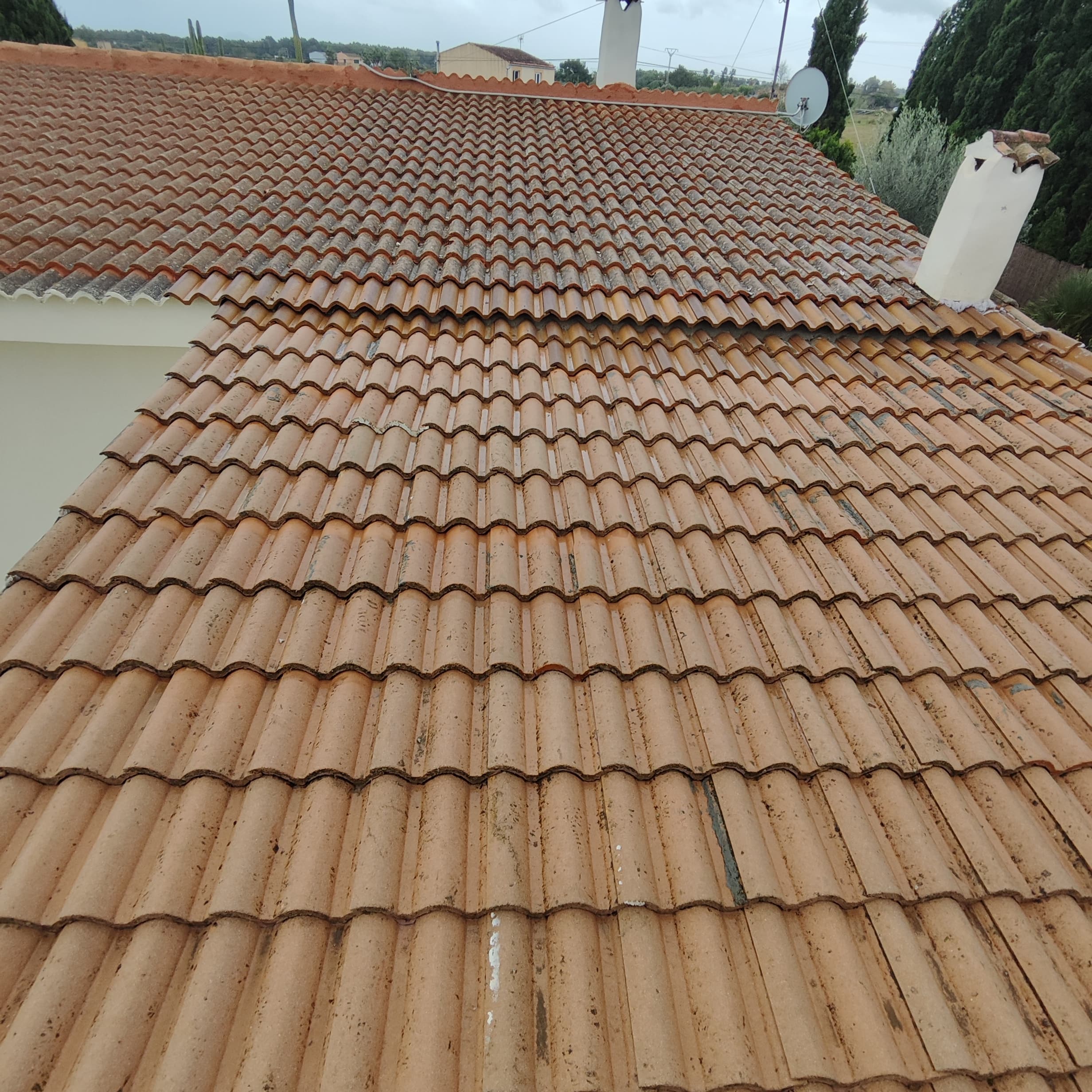 Roofs project