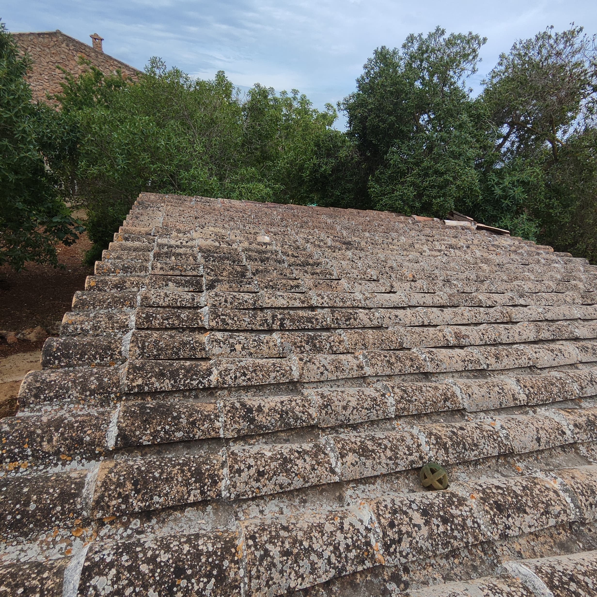 Roofs project