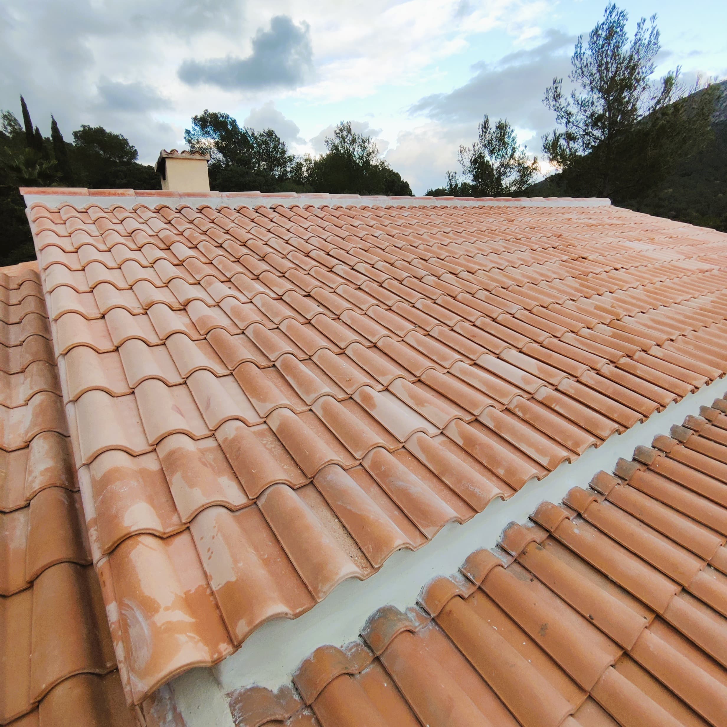 Roofs project