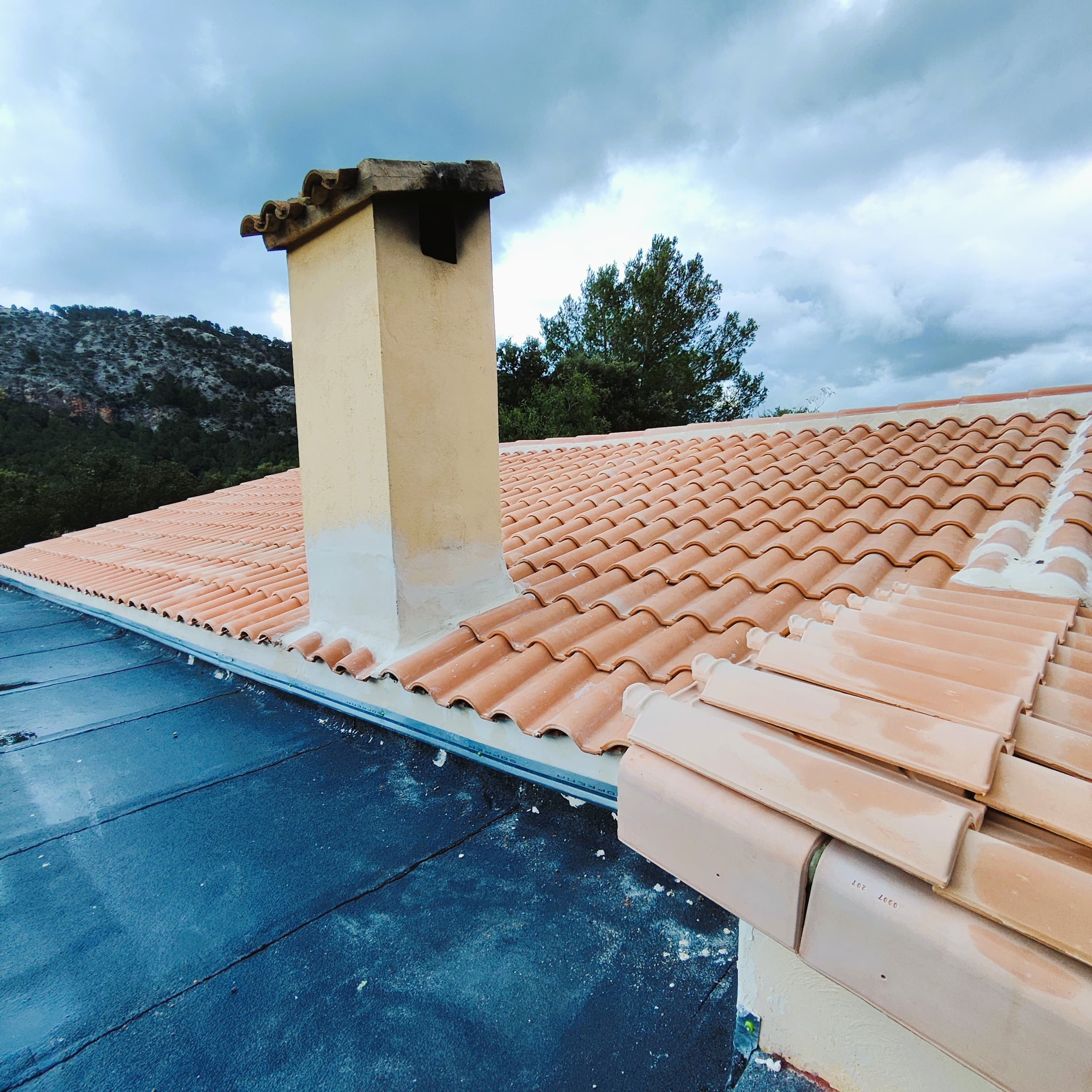 Roofs project